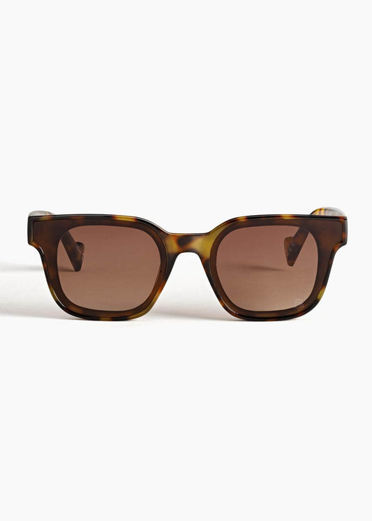 Szade RECYCLED SUNGLASSES  Szade - Ellis in Pinta Tort/Brnt Honey/Hst Brwn